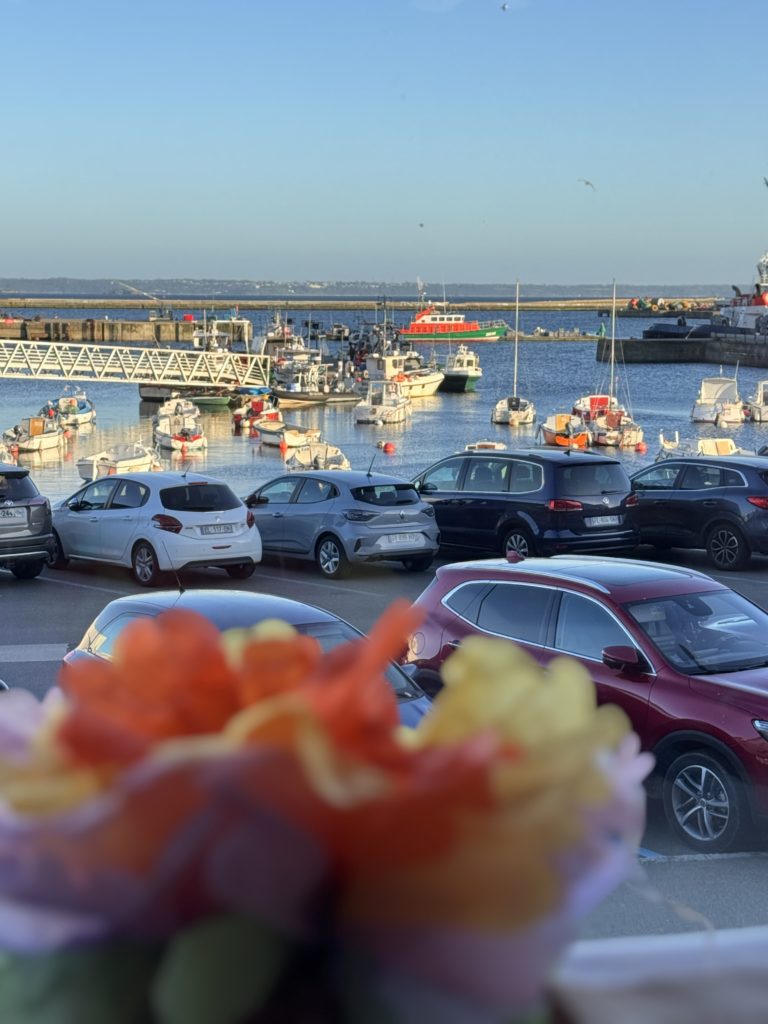 Soirée latina, vue port